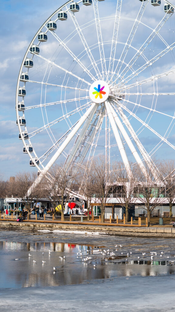 la grande roue du vieux port