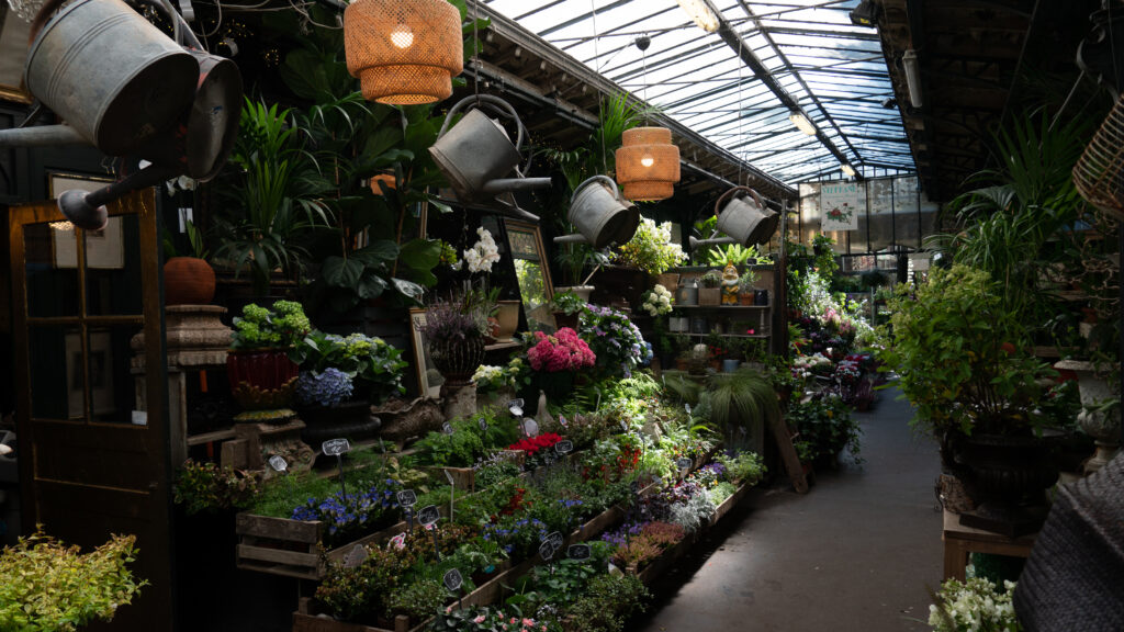 marché au fleur