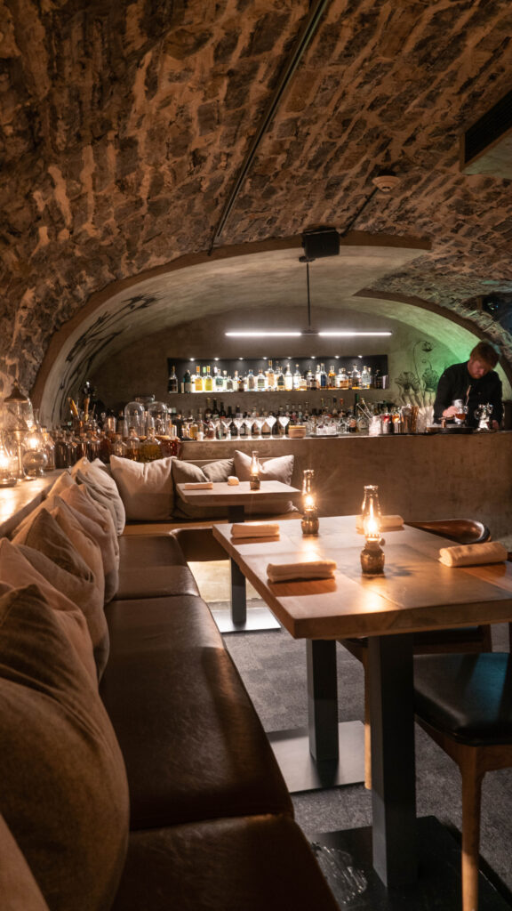 voute charest - taniere 3