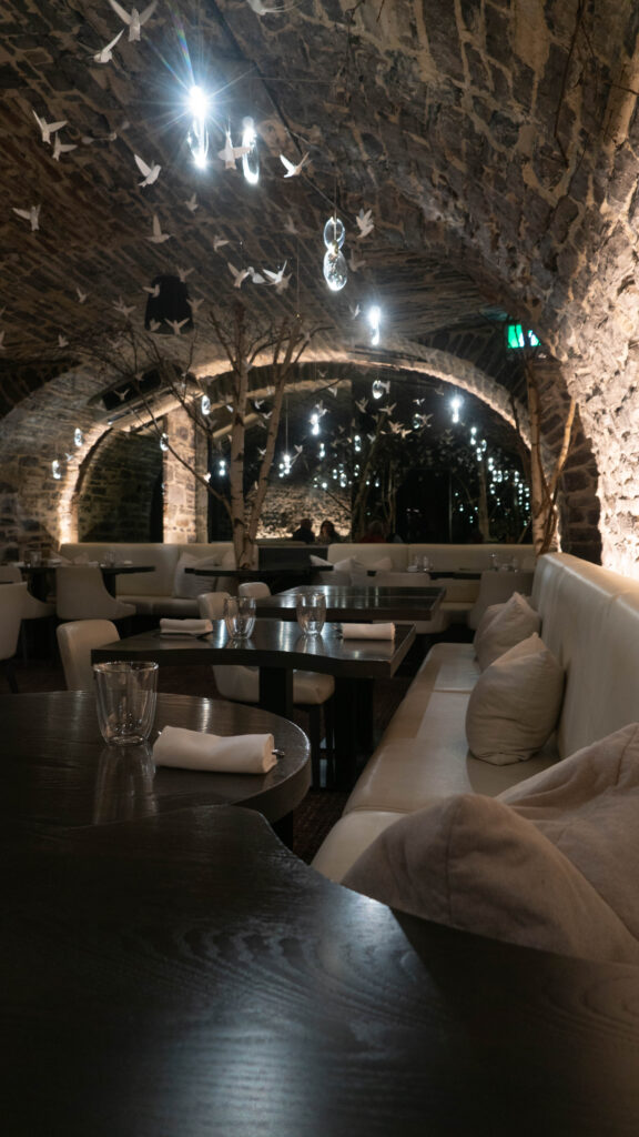 voûte leber - taniere 3