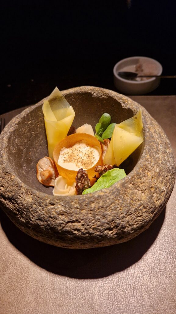 au gré des champs - morille - taniere 3